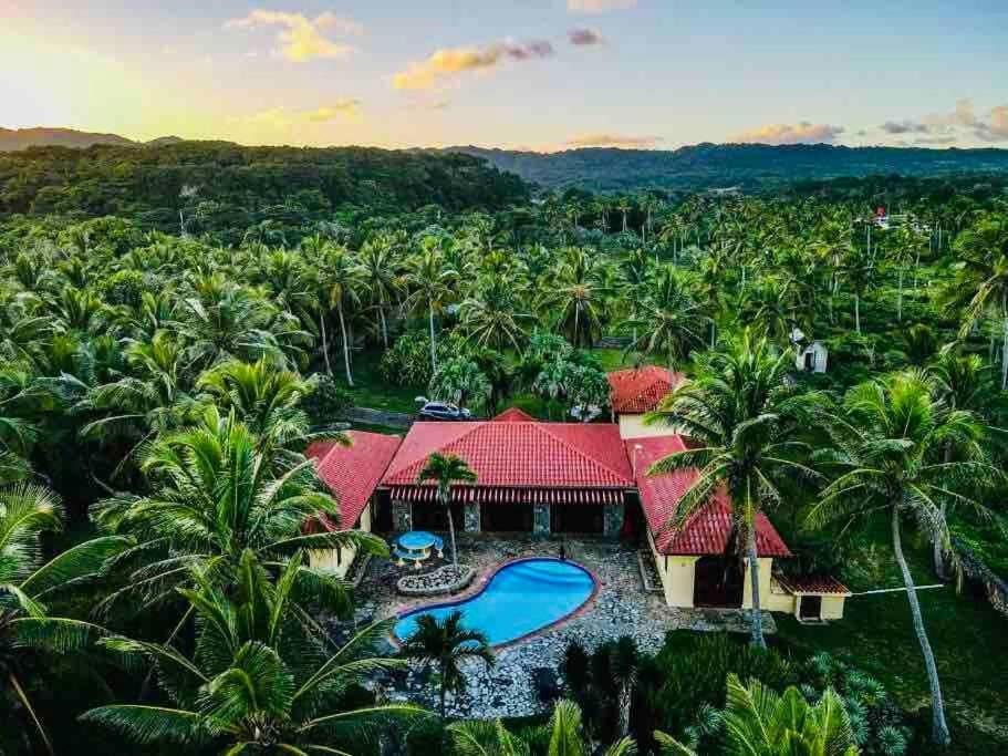 PALM HOUSE - LUXURY VILLA - SAMANÁ - Ocean Front Sánchez Exterior foto